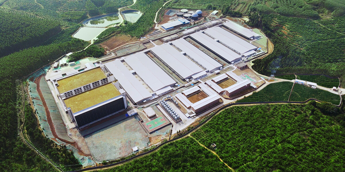 Luoding Dekon Hongdao Integrated Pig Farm